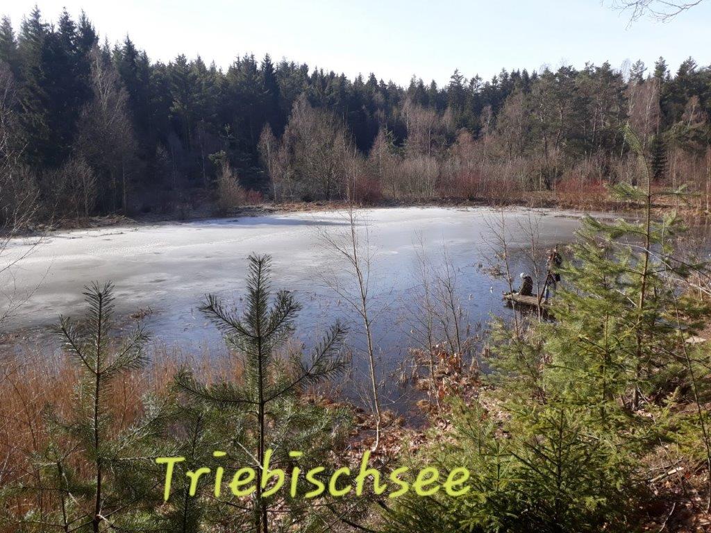 Vom oberen Triebischtal (Quellgebiet der Triebisch) bis nach Mohorn